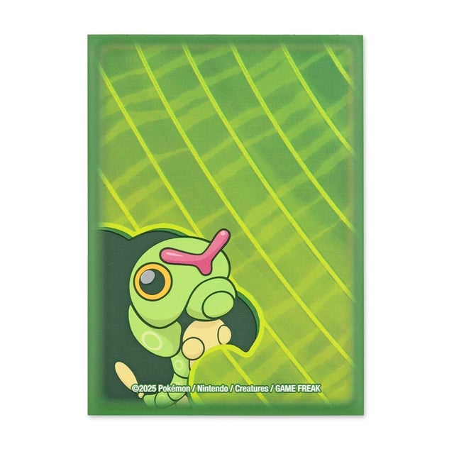 人気ブランドを 海外ポケモンカードサプライ | TCG-SHOP Suzunone（すずのね） ポケモンカードゲーム
