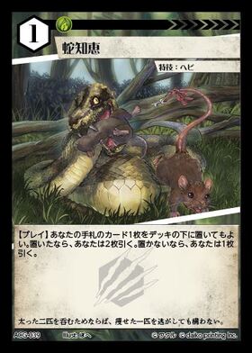 アニマルカードゲーム / Animal Card Game (ACG) | TCG-SHOP Suzunone